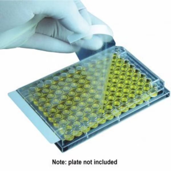 SealPlate Sealing Films, Clear, Non-Sterile, 100/pk, 100PK, Excel Scientific, Mfr#: 202502